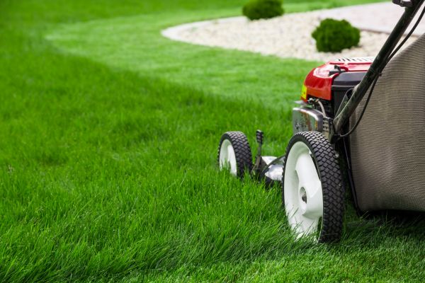 Mowing Service in Panama City