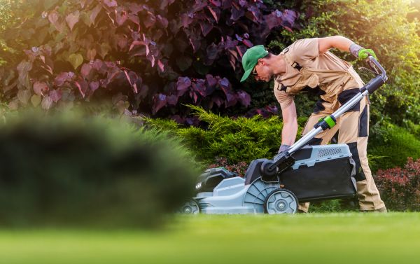 Yard Care Service in Panama City