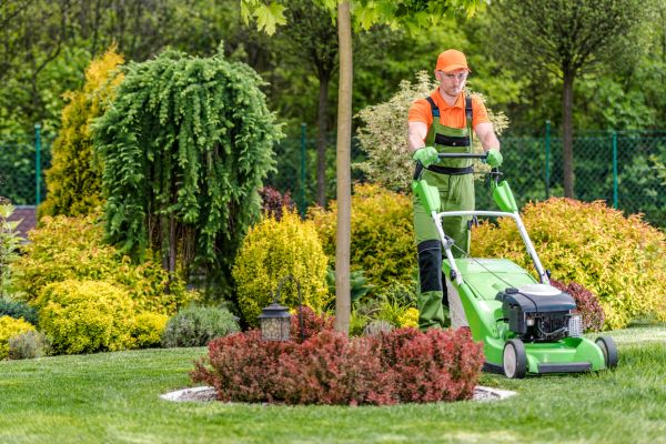 Yard Service in Panama City