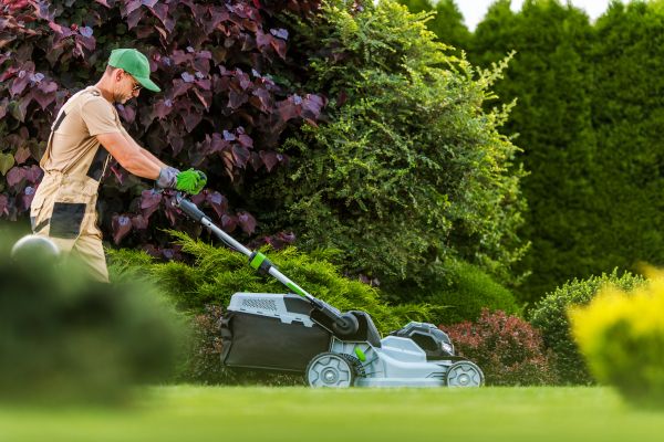 Lawn Management in Panama City