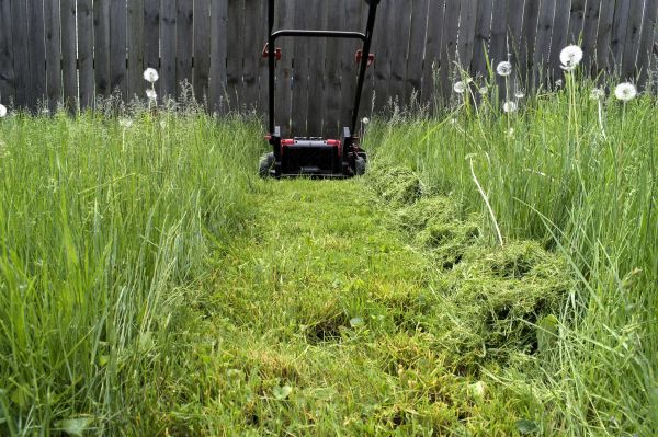 High Grass Mowing in Panama City