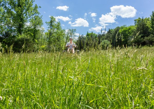 Long Grass Mowing in Panama City
