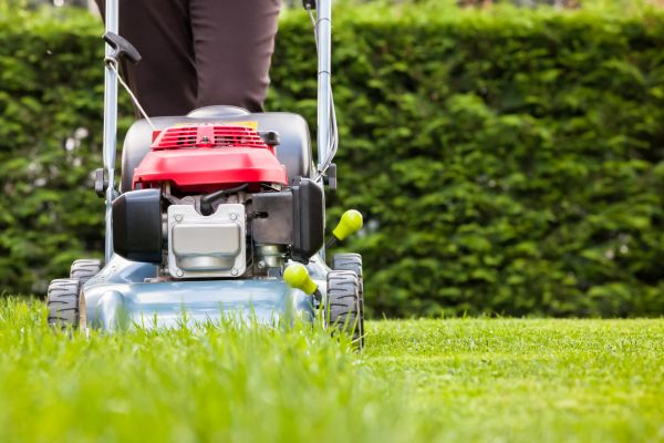 Grass Trimming Service in Panama City