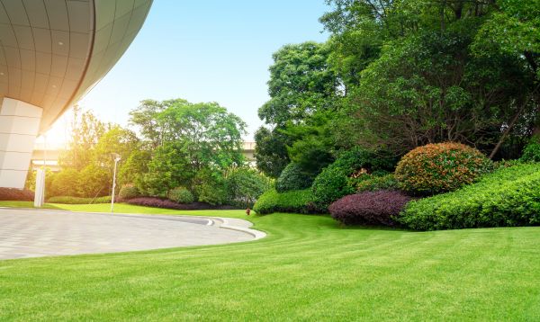 Cost of Business Groundskeeping in Panama City
