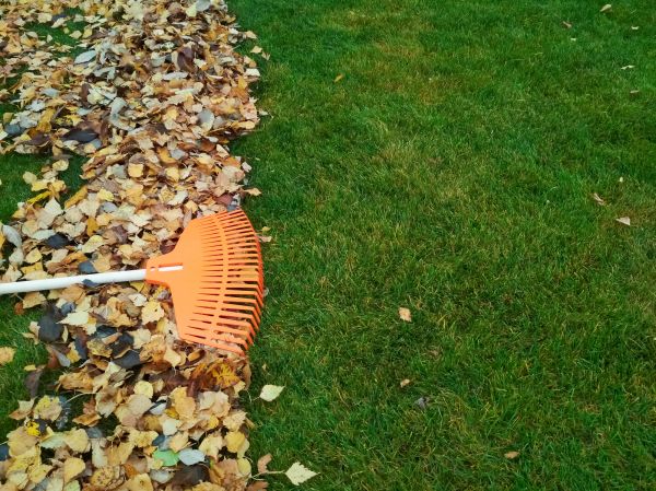 Fall Lawn Care in Panama City
