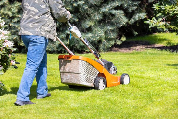 Springtime Lawn Care in Panama City