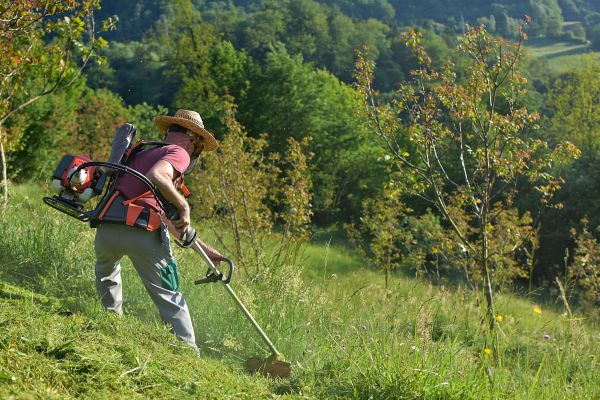 Slope Mowing in Panama City