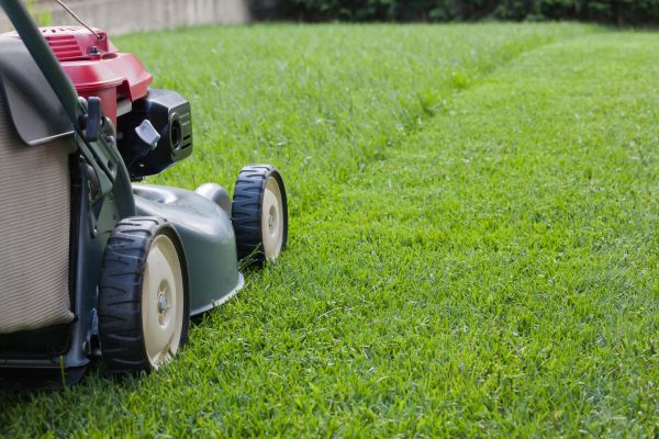 Spring Lawn Maintenance in Panama City