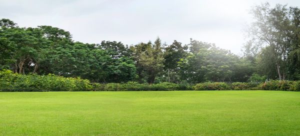 Golf Course Mowing in Panama City