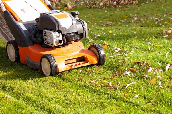 Fall Mowing in Panama City