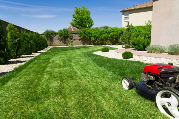 Residential Lawn Mowing in Panama City
