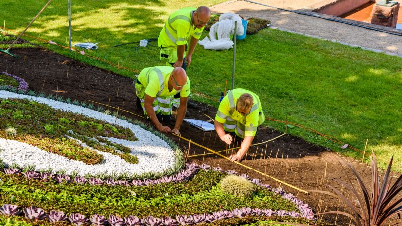 Hillside Weed Eating