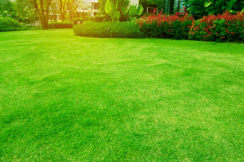Lawn Maintenance